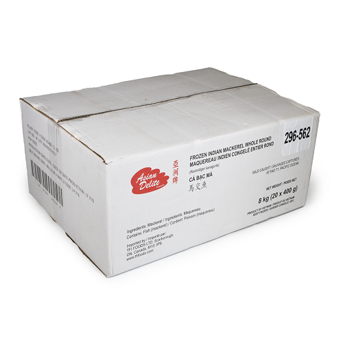 Hasa_Hasa_(VP)_India_Mackerel_04